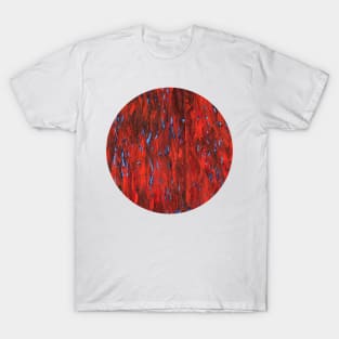 Firefly sea (blue on red) II/III (circle) T-Shirt